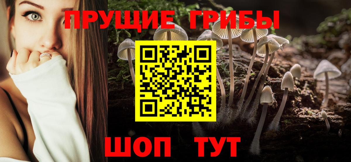 Галлюциногенные грибы GOLDEN TEACHER  Псилоцибиновые грибы Psilocybe  Красноуфимск  что такое наркотик  Вход с VPN 